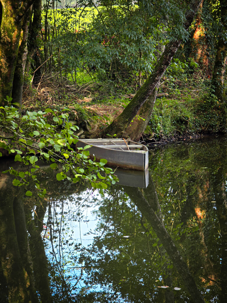 barque-yon-chaille-ormeaux