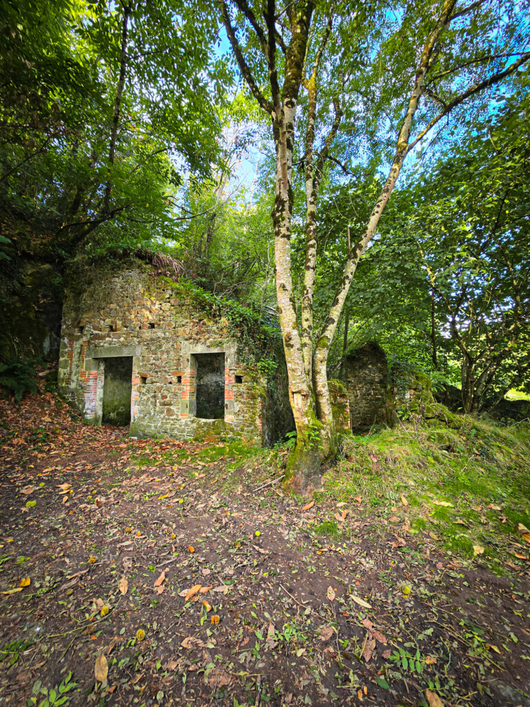 ruines-randonnee-chaille-sous-les-ormeaux-vendee